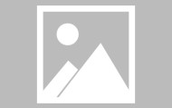 官方网站-浙江义乌：正版授权加持 世界杯商品解锁新商机|美加墨世界杯|浙江省|球队|美加|商家