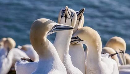 网页版入口-开云体育app——您的掌上体育世界